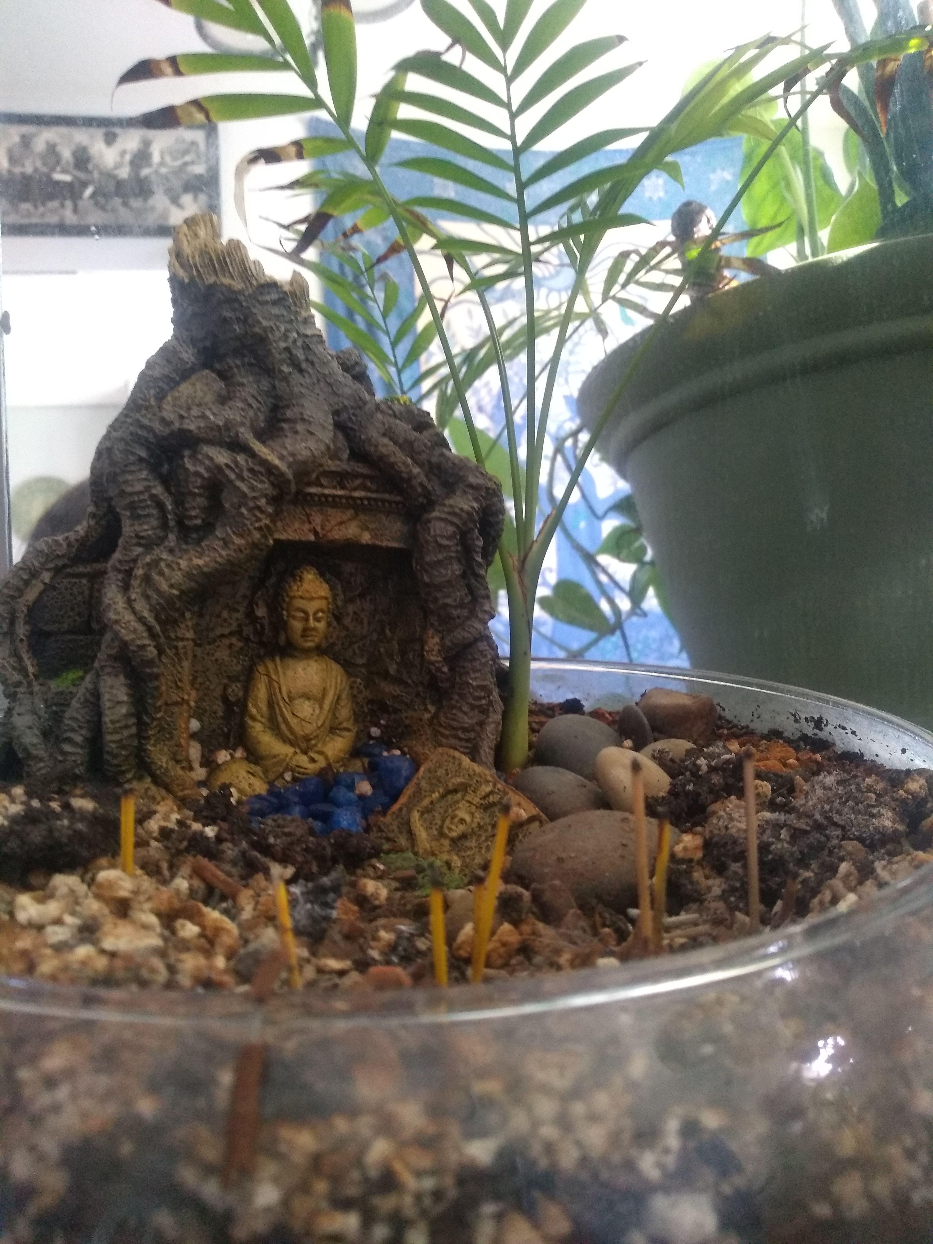 IMG_20200116_103350530